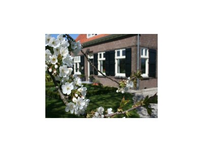 Farmhouse Spacious farmhouse in IJzendijke with garden - Outdoor photo 3