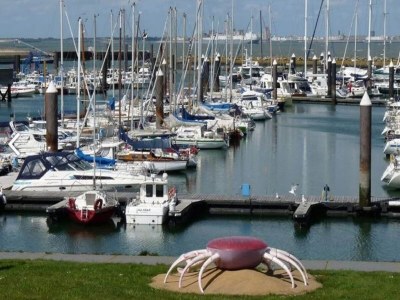 Farmhouse Spacious farmhouse in IJzendijke with garden - Environment photo 28