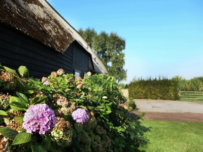 Farmhouse Farmhouse appartment in Eede - Outdoor photo 34