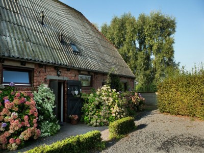 Farmhouse Bauernhaus in Eede - Outdoor photo 4