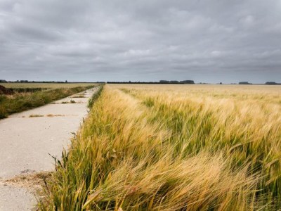 Farmhouse Bauernhaus in Eede - Environment photo 21