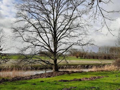 Farmhouse Bauernhaus in Eede - Environment photo 28