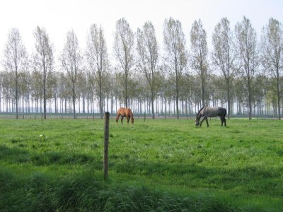 Farmhouse Bauernhaus in Eede - Environment photo 31