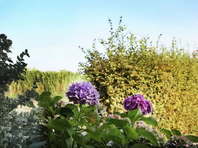 Farmhouse Bauernhaus in Eede - Outdoor photo 35