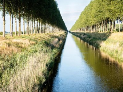 Farmhouse Haustierfreundliches Bauernhaus - Environment photo 31
