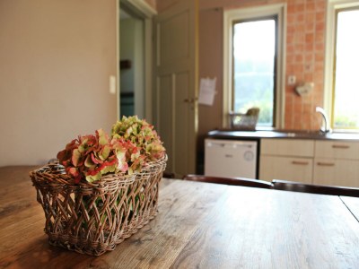 Farmhouse Haustierfreundliches Bauernhaus - Outdoor photo 39