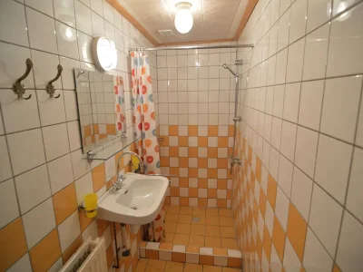 Farmhouse Farmhouse in Nieuwleusen near Lake and Nature - Features photo 15