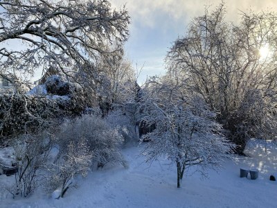 Farmhouse Farmhouse in Nieuwleusen near Lake and Nature - Environment photo 21