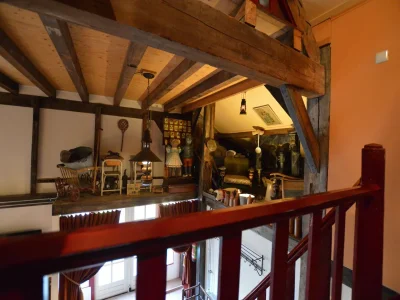 Farmhouse Farmhouse in Nieuwleusen near Lake and Nature - Outdoor photo 24