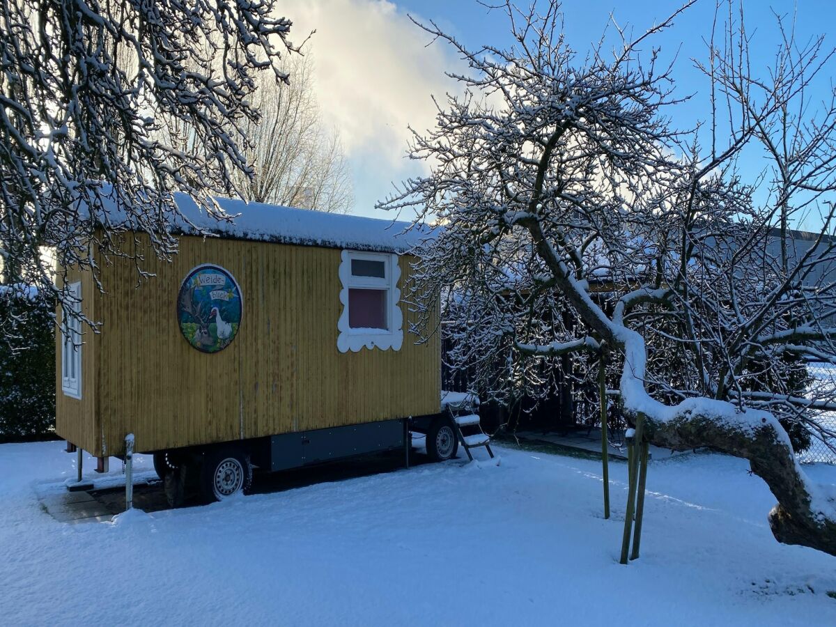 Holiday house Zigeunerwagen in Weideblick mit Tieren - Outdoor photo 2