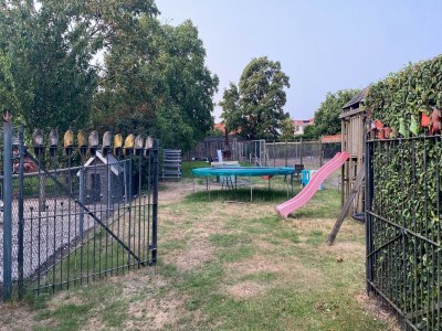 Holiday house Zigeunerwagen in Weideblick mit Tieren - Outdoor photo 15