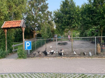 Holiday house Zigeunerwagen in Weideblick mit Tieren - Outdoor photo 26