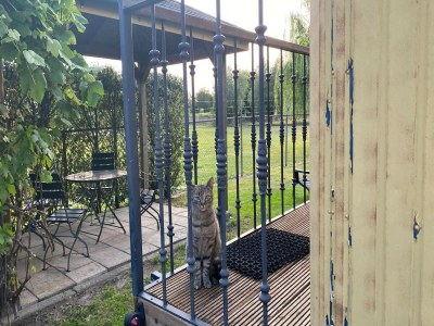 Holiday house Zigeunerwagen in Weideblick mit Tieren - Outdoor photo 27