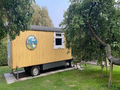 Holiday house Zigeunerwagen in Weideblick mit Tieren - Outdoor photo 28