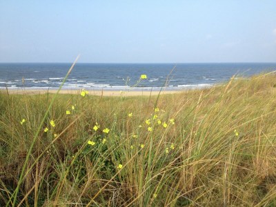 Apartment Apartment in Bergen nahe Strand für 3 Von Belvilla - Environment photo 18