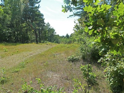 Apartment Apartment in Bergen nahe Strand für 3 Von Belvilla - Environment photo 19