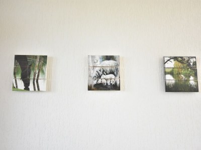 Holiday house Ferienhaus bei Brügge und Cadzand - Outdoor photo 38