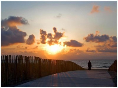 Holiday house Holiday Home in Noordwijk near Beach - Environment photo 28