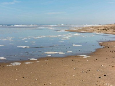 Holiday house Holiday Home in Noordwijk near Beach - Environment photo 31