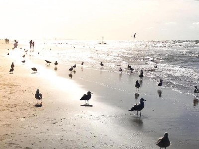 Holiday house Holiday Home in Noordwijk near Beach - Environment photo 32