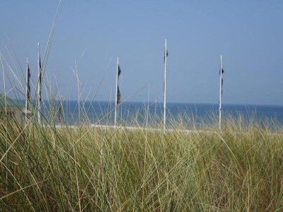 Holiday house Holiday Home in Noordwijk near Beach - Environment photo 33