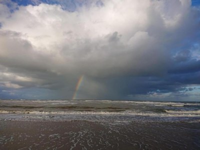 Holiday house Ferienhaus in Bergen nahe Wald & Strand - Environment photo 18