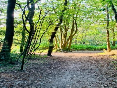 Holiday house Ferienhaus in Bergen nahe Wald & Strand - Environment photo 19