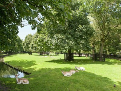 Holiday house Ferienhaus in Bergen aan Zee mit Terrasse - Environment photo 36