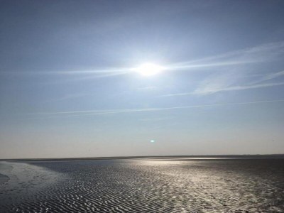 Holiday house Cottage in Nes-Ameland near Coastline - Environment photo 22