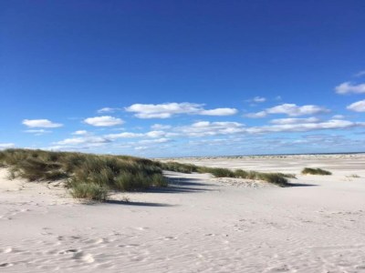 Holiday house Cottage in Nes-Ameland near Coastline - Environment photo 23