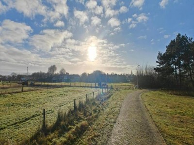 Holiday house Cottage in Nes-Ameland near Coastline - Environment photo 24