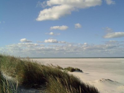 Holiday house Cottage in Nes-Ameland near Coastline - Environment photo 28