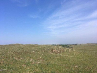 Holiday house Cottage in Nes-Ameland near Coastline - Environment photo 31