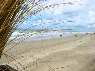 Apartment Apartment in a quiet, rural area, not far from the centre - Environment photo 24