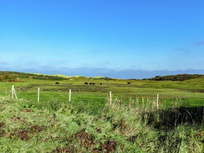 Apartment Wohnung in Oostkapelle am Strand - Environment photo 29