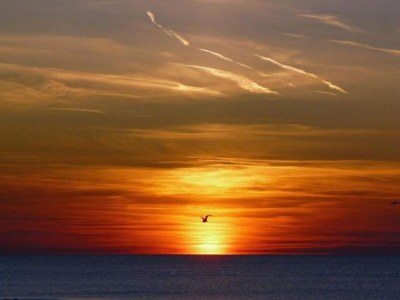 Apartment Wohnung in Oostkapelle am Strand - Environment photo 31