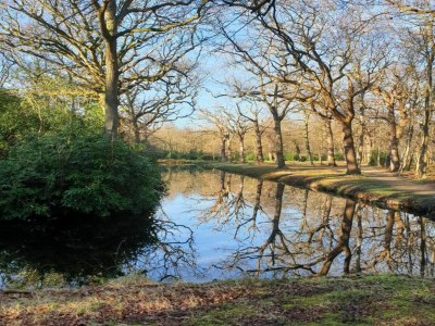 Apartment Apartment in Oostkapelle near the Beach - Environment photo 31