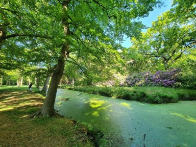 Apartment Apartment in Oostkapelle near the Beach - Environment photo 32