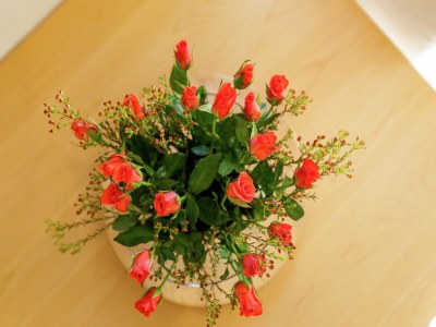 Apartment Apartment in Oostkapelle near the Beach - Outdoor photo 40