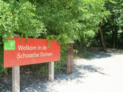 Holiday house Holiday Home in Schoorl near Dunes - Environment photo 17