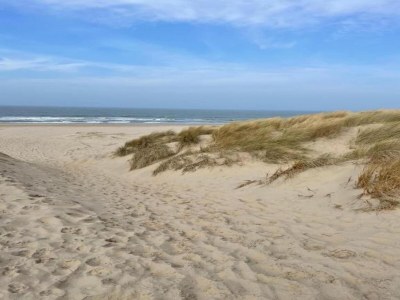Holiday house Holiday Home in Schoorl near Dunes - Environment photo 18