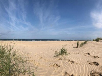 Holiday house Holiday Home in Schoorl near Dunes - Environment photo 19
