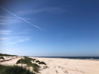 Holiday house Holiday Home in Schoorl near Dunes - Environment photo 21