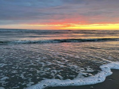 Holiday house Holiday Home in Schoorl near Dunes - Environment photo 23