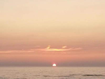 Holiday house Holiday Home in Schoorl near Dunes - Environment photo 24