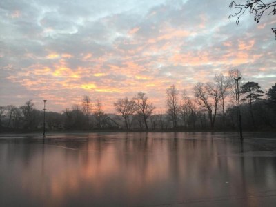 Holiday house Holiday Home in Schoorl near Dunes - Environment photo 25
