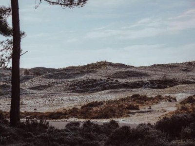 Holiday house Holiday Home in Schoorl near Dunes - Environment photo 27