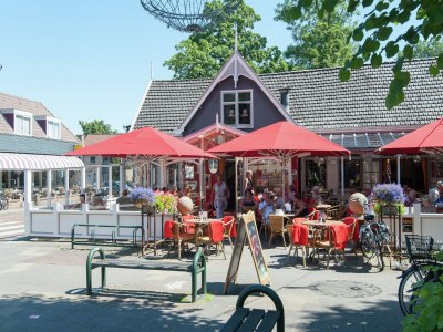 Holiday house Holiday Home in Schoorl near Dunes - Environment photo 28