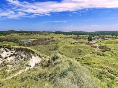 Holiday house Holiday Home in Schoorl near Dunes - Environment photo 29