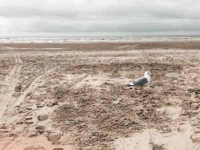 Holiday house Holiday Home in Schoorl near Dunes - Environment photo 34